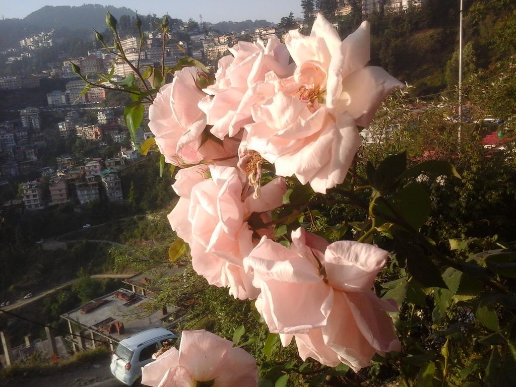 Shimla View Home Bagian luar foto