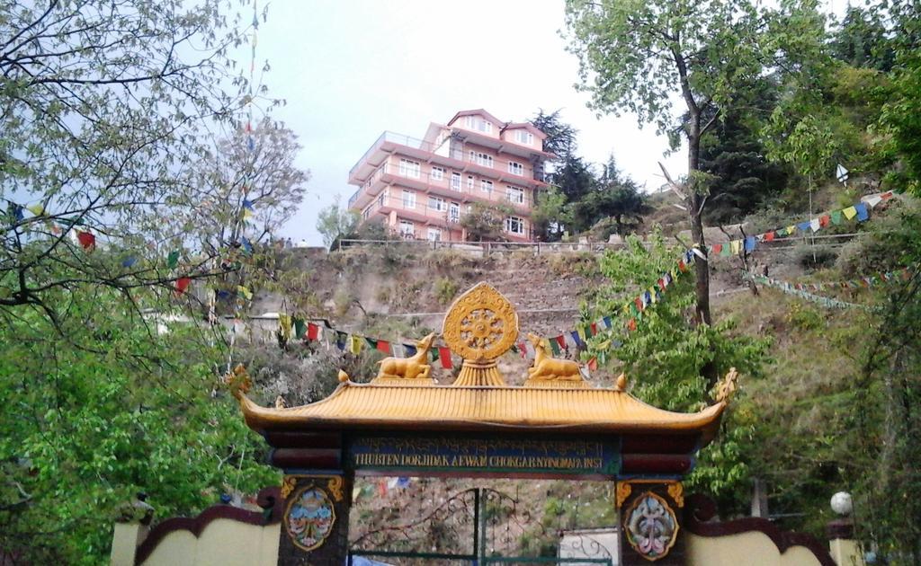 Shimla View Home Bagian luar foto