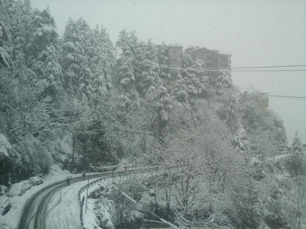 Shimla View Home Bagian luar foto